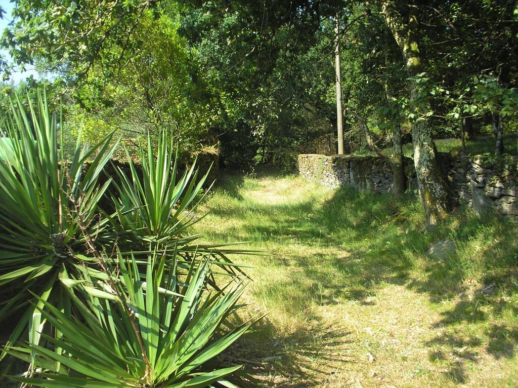 Oca de Abaixo A Pena De Augasantasゲストハウス エクステリア 写真