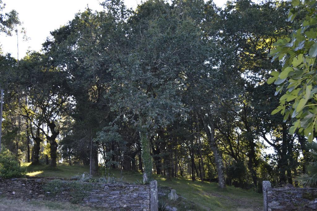 Oca de Abaixo A Pena De Augasantasゲストハウス エクステリア 写真